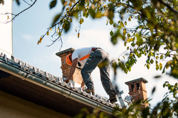 Best Roof Leak Repair  in Highland Park, NJ