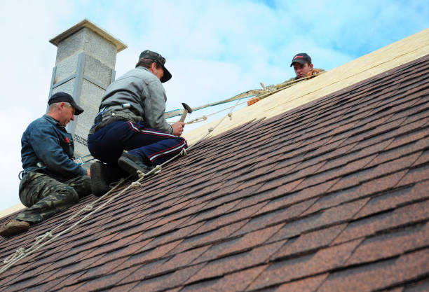 Best Metal Roofing Contractor  in Highland Park, NJ